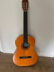 Akustisk gitarr Benton