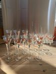 Laura Ashley starkvinsglas 16 st