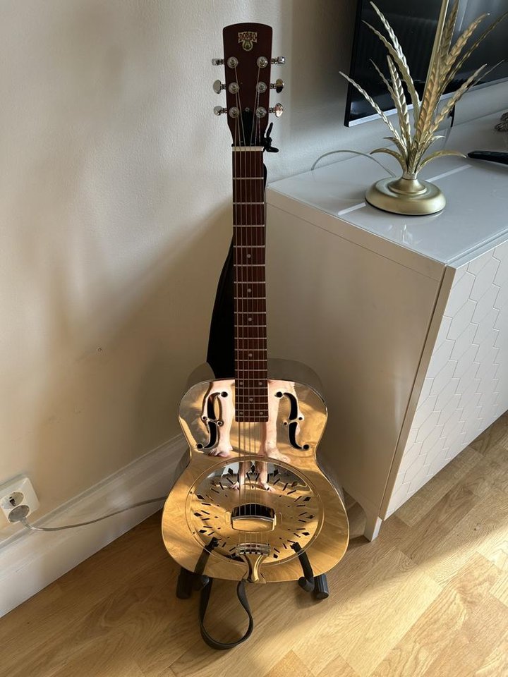 Epiphone Dobro Hound Dog M-14...