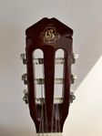 Acoustic Guitarr