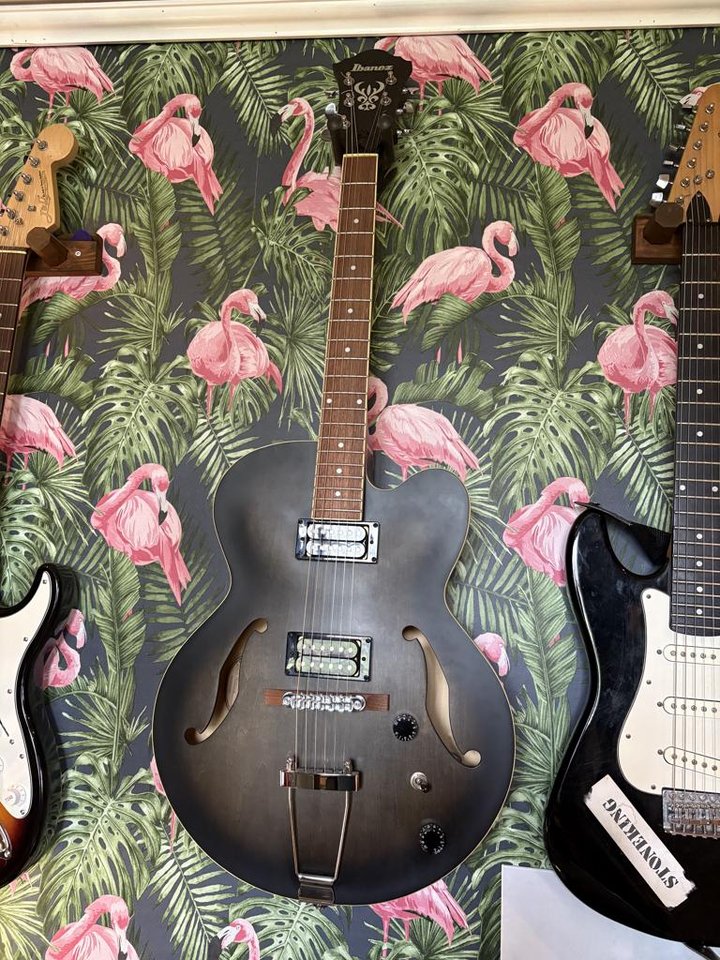 Ibanez af55