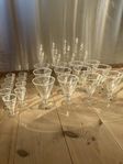 Champagne/Coctailglas och snapsglas