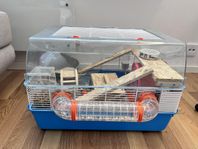 Sibirisk hamster med bur och tillbehör