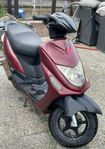 Yamakoyo 50cc
