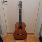 Gitarr i Nyskick / Yamaha C-40 med fodral