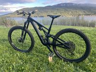 Specialized stumpjumper evo comp stl:S2 Mullet