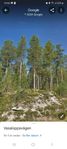 Sjötomt vid Evertsbergssjöarna (vasaloppsspåret)