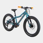 SCOTT Roxter Team