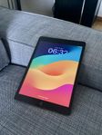 Apple iPad 8th generation nyskick