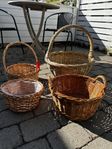 korgar att plantera i