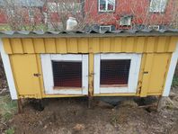Rejäl kaninbur
