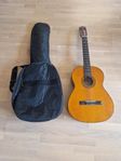 Reno guitar scg-v190
