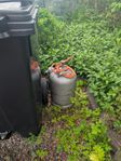 gasoltub 30 liter ?