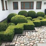 Trädgårds akuten 