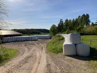 Ensilagebalar till nöt och häst