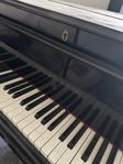 Steinway Flygel från 1916 i renoveringsbehov 