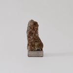 Sten skulptur fossil konst