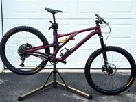 Specialized Stumpjumper EVO