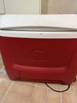 Stor Igloo kylbox 