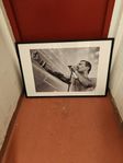 Freddy Mercury i svart ram