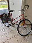 Damcyklar