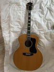 Guild F50R