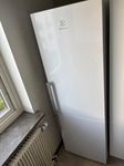 kombinerad kyl/frys från Electrolux - 2024 (Nyskick)