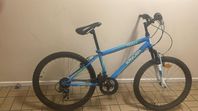 Mountainbike 24 tum