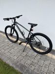 mountainbike specialized pitch