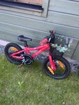 SCOTT BARNCYKEL CONTESSA 14