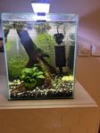 nanoakvarium 30 L