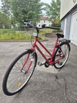 skandic damcykel