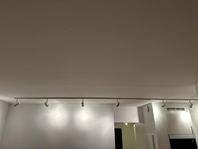 Lampskena global / belid
