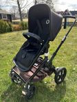 Bugaboo fox