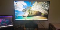 ASUS 27" gamingskärm TUF VG279QM 270Hz