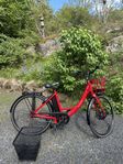 Ecoride ambassador Elcykel