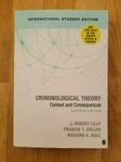 Criminological Theory: Context and Consequences 