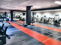 Gymgolv Pavigym Sprint