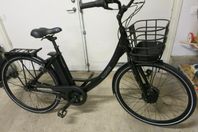 ECORIDE Ambassador damcykel