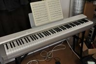 Casio px 130