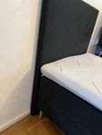 Sängar