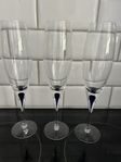 Orrefors Intermezzo Blue Champagne glas