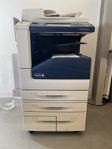 Skrivare Xerox 7530