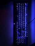 Gaming Tangentbord/Mus