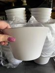 8st vita krukor för 50kr Drottningholm 