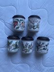 Villeroy & Boch Botanica 5 stycken