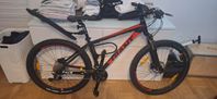 Giant Mountainbike