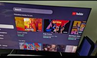 Samsung 65" (2017)