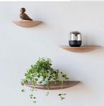 Menu Gridy Fungi designhylla