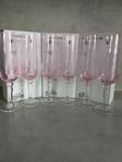 6 CHAMPAGNE GLAS